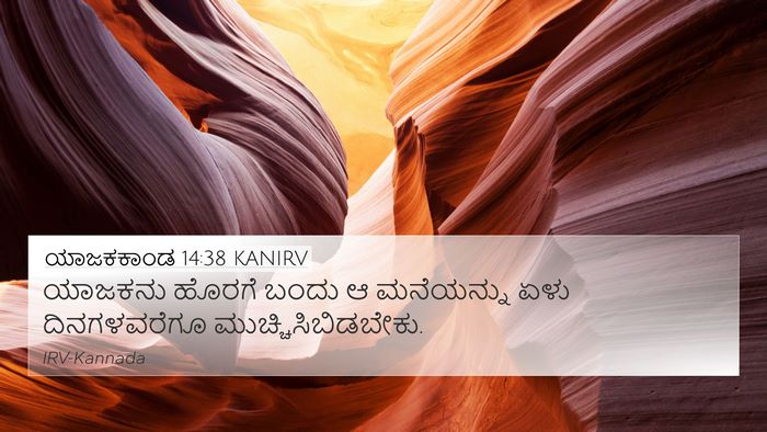ಯಾಜಕಕಾಂಡ 14:38 KANIRV 4K Wallpaper - ಯಾಜಕನು ಹೊರಗೆ ಬಂದು - 4K Wallpaper Bible Verse