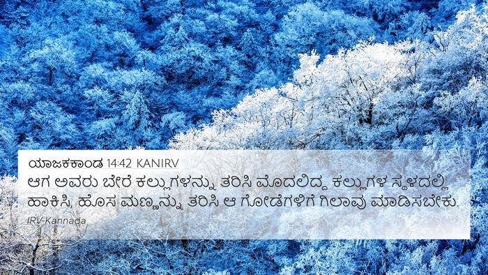 ಯಾಜಕಕಾಂಡ 14:42 KANIRV 4K Wallpaper - ಆಗ ಅವರು ಬೇರೆ - 4K Wallpaper Bible Verse