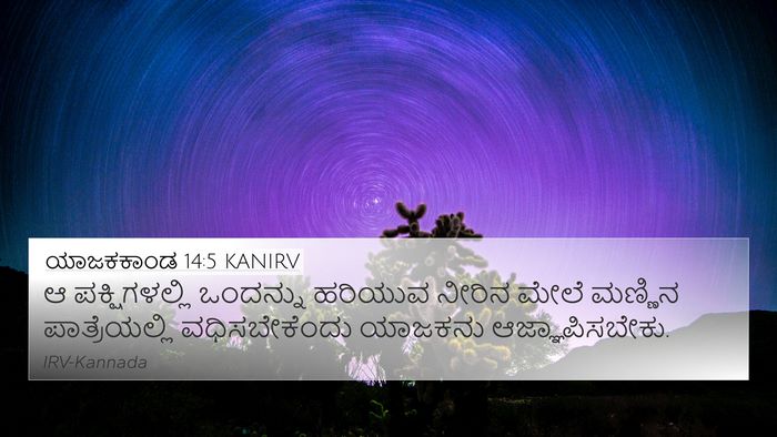 ಯಾಜಕಕಾಂಡ 14:5 KANIRV 4K Wallpaper - ಆ ಪಕ್ಷಿಗಳಲ್ಲಿ - 4K Wallpaper Bible Verse