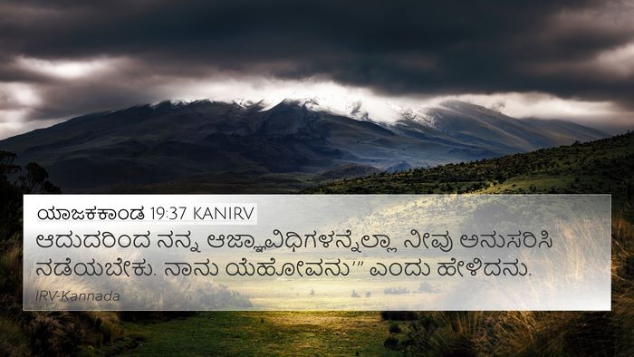 ಯಾಜಕಕಾಂಡ 19:37 KANIRV Bible Verse Image
