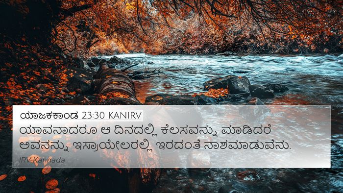 ಯಾಜಕಕಾಂಡ 23:30 KANIRV Bible Verse Image