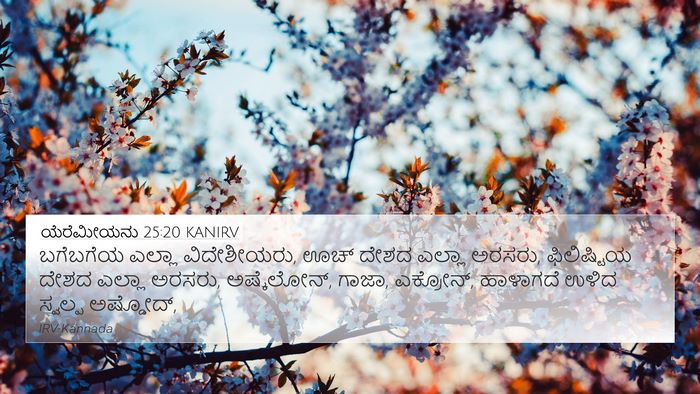 ಯೆರೆಮೀಯನು 25:20 KANIRV Bible Verse Image