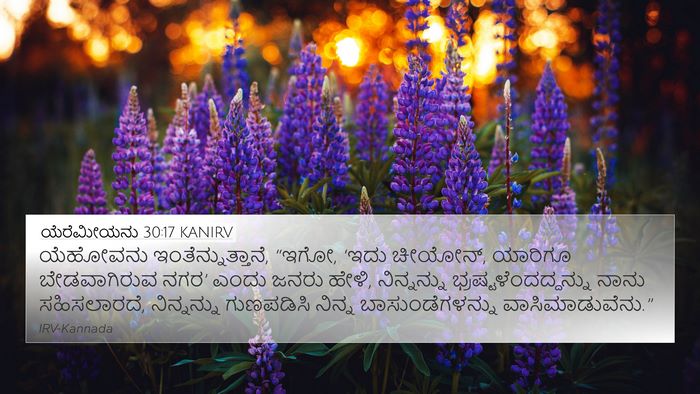 ಯೆರೆಮೀಯನು 30:17 KANIRV Bible Verse Image
