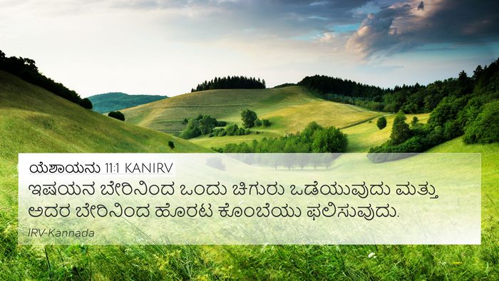 ಯೆಶಾಯನು 11:1 KANIRV Bible Verse Image