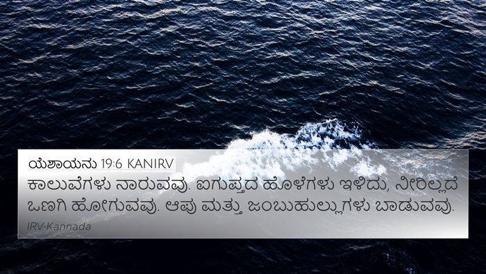 ಯೆಶಾಯನು 19:6 KANIRV Bible Verse Image