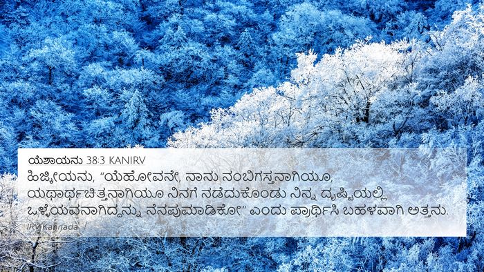 ಯೆಶಾಯನು 38:3 KANIRV Bible Verse Image
