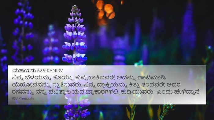 ಯೆಶಾಯನು 62:9 KANIRV Bible Verse Image