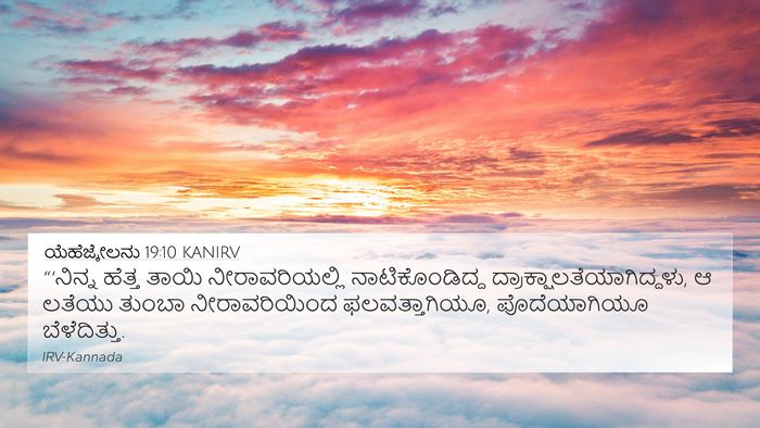 ಯೆಹೆಜ್ಕೇಲನು 19:10 KANIRV Bible Verse Image