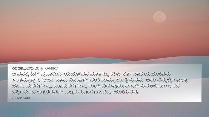 ಯೆಹೆಜ್ಕೇಲನು 20:47 KANIRV Bible Verse Image