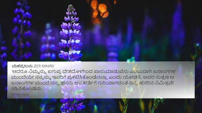 ಯೆಹೆಜ್ಕೇಲನು 20:9 KANIRV Bible Verse Image