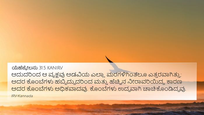 ಯೆಹೆಜ್ಕೇಲನು 31:5 KANIRV 4K Wallpaper - ಆದುದರಿಂದ ಆ - 4K Wallpaper Bible Verse
