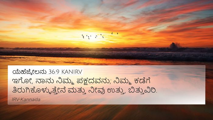 ಯೆಹೆಜ್ಕೇಲನು 36:9 KANIRV Bible Verse Image