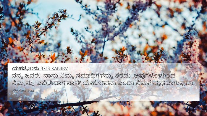 ಯೆಹೆಜ್ಕೇಲನು 37:13 KANIRV Bible Verse Image