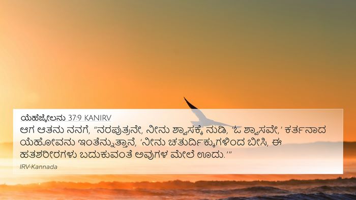 ಯೆಹೆಜ್ಕೇಲನು 37:9 KANIRV Bible Verse Image