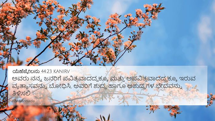 ಯೆಹೆಜ್ಕೇಲನು 44:23 KANIRV Bible Verse Image
