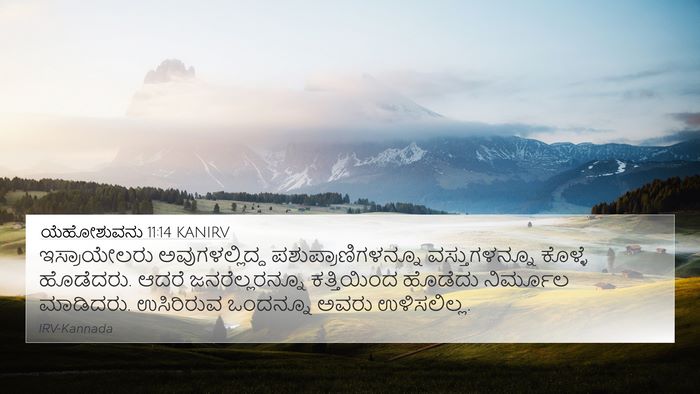 ಯೆಹೋಶುವನು 11:14 KANIRV 4K Wallpaper - ಇಸ್ರಾಯೇಲರು - 4K Wallpaper Bible Verse