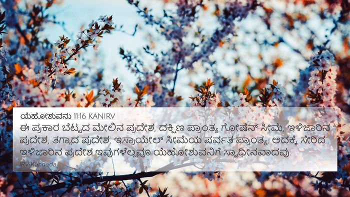 ಯೆಹೋಶುವನು 11:16 KANIRV Bible Verse Image