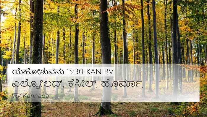 ಯೆಹೋಶುವನು 15:30 KANIRV 4K Wallpaper - ಎಲ್ಟೋಲದ್, ಕೆಸೀಲ್, - 4K Wallpaper Bible Verse
