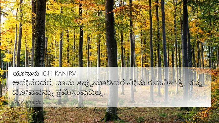 ಯೋಬನು 10:14 KANIRV Bible Verse Image