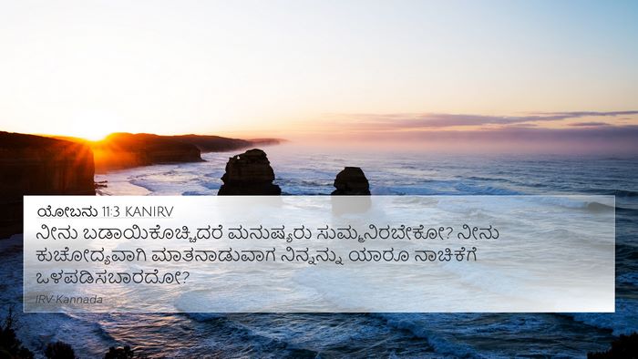 ಯೋಬನು 11:3 KANIRV Bible Verse Image