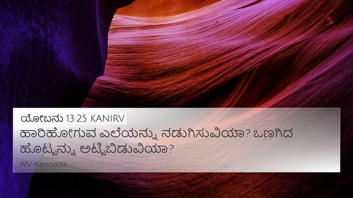 ಯೋಬನು 13:25 KANIRV Bible Verse Image