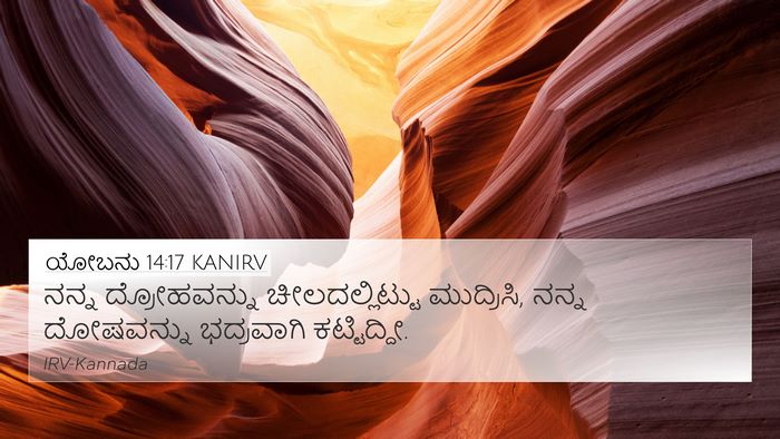 ಯೋಬನು 14:17 KANIRV Bible Verse Image