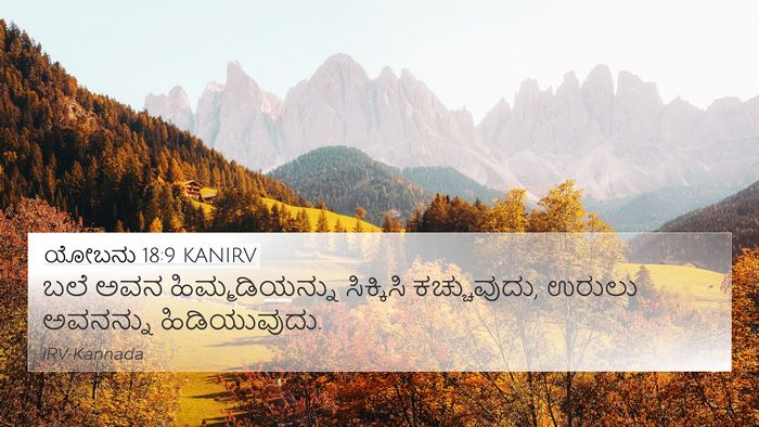 ಯೋಬನು 18:9 KANIRV 4K Wallpaper - ಬಲೆ ಅವನ - 4K Wallpaper Bible Verse