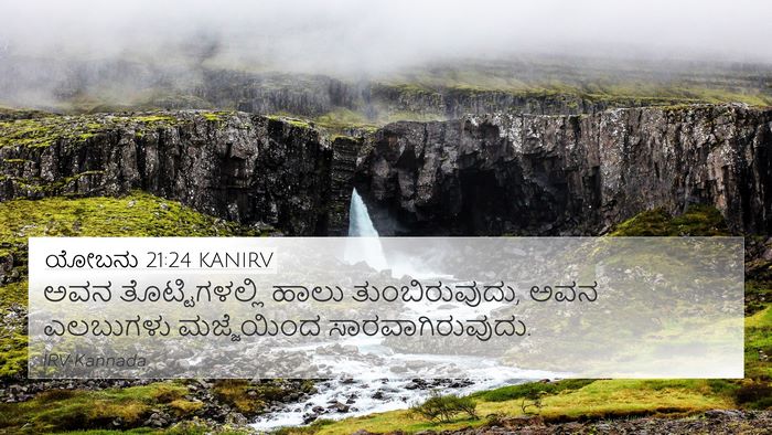 ಯೋಬನು 21:24 KANIRV Bible Verse Image