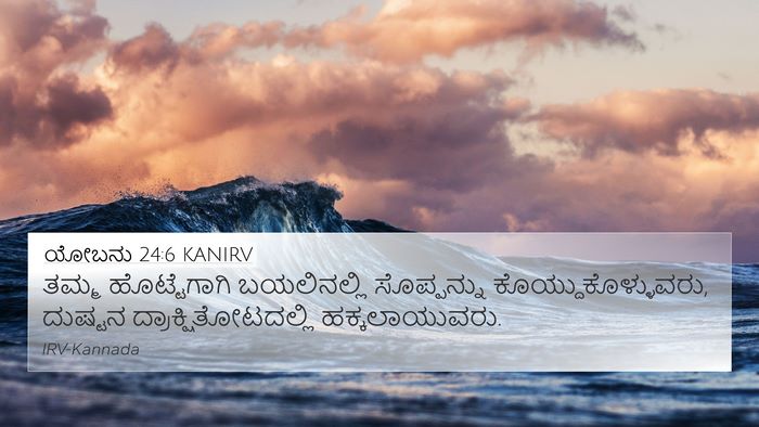ಯೋಬನು 24:6 KANIRV Bible Verse Image
