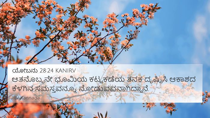 ಯೋಬನು 28:24 KANIRV 4K Wallpaper - ಆತನೊಬ್ಬನೇ ಭೂಮಿಯ - 4K Wallpaper Bible Verse