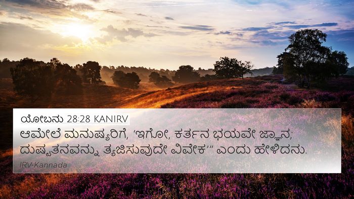 ಯೋಬನು 28:28 KANIRV Bible Verse Image