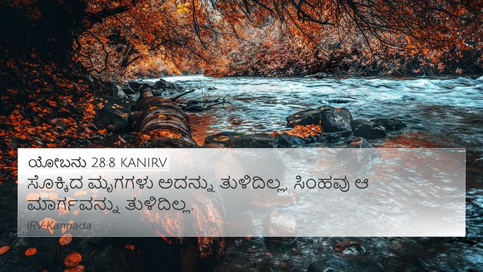 ಯೋಬನು 28:8 KANIRV 4K Wallpaper - ಸೊಕ್ಕಿದ ಮೃಗಗಳು - 4K Wallpaper Bible Verse