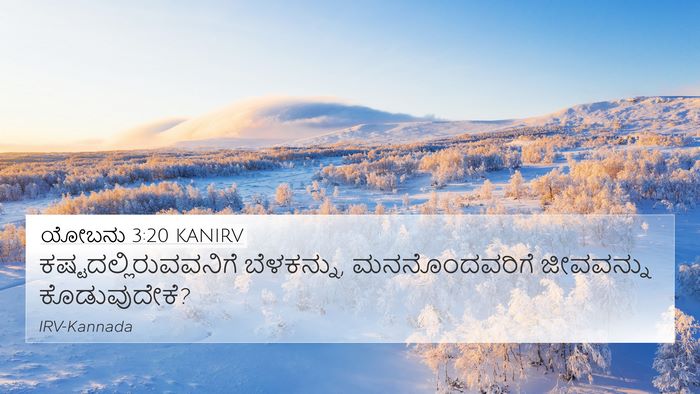 ಯೋಬನು 3:20 KANIRV Bible Verse Image