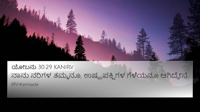 ಯೋಬನು 30:29 KANIRV Bible Verse Image