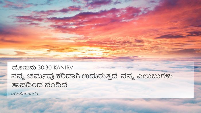 ಯೋಬನು 30:30 KANIRV Bible Verse Image