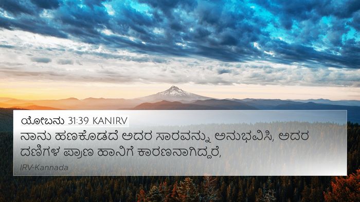ಯೋಬನು 31:39 KANIRV Bible Verse Image
