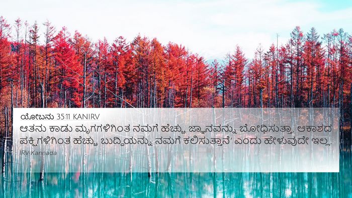 ಯೋಬನು 35:11 KANIRV Bible Verse Image