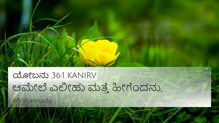 ಯೋಬನು 36:1 KANIRV 4K Wallpaper - ಆಮೇಲೆ ಎಲೀಹು ಮತ್ತೆ - 4K Wallpaper Bible Verse