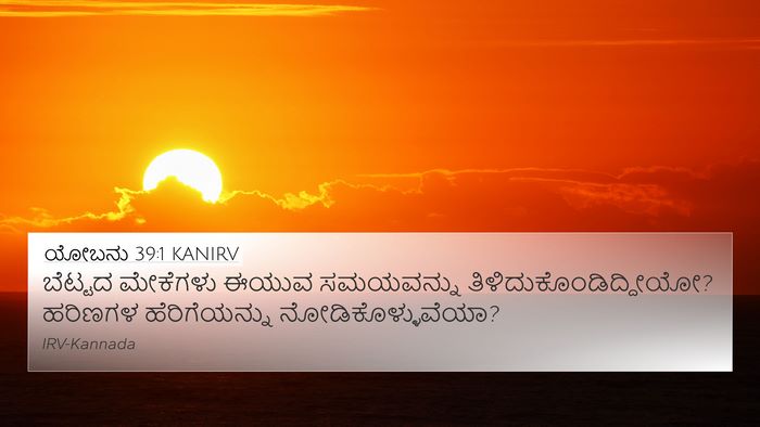 ಯೋಬನು 39:1 KANIRV Bible Verse Image