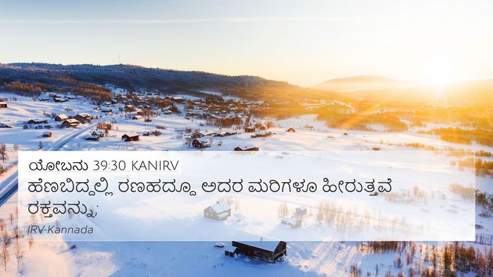 ಯೋಬನು 39:30 KANIRV 4K Wallpaper - ಹೆಣಬಿದ್ದಲ್ಲಿ - 4K Wallpaper Bible Verse