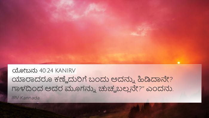 ಯೋಬನು 40:24 KANIRV 4K Wallpaper - ಯಾರಾದರೂ - 4K Wallpaper Bible Verse