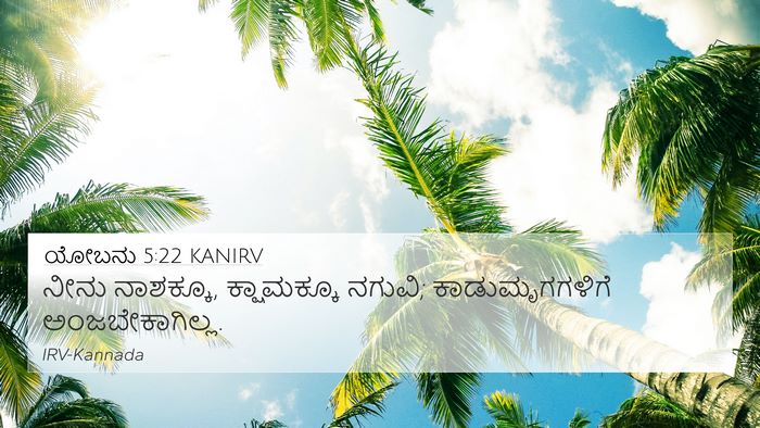 ಯೋಬನು 5:22 KANIRV 4K Wallpaper - ನೀನು ನಾಶಕ್ಕೂ, - 4K Wallpaper Bible Verse