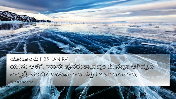 ಯೋಹಾನನು 11:25 KANIRV Bible Verse Image