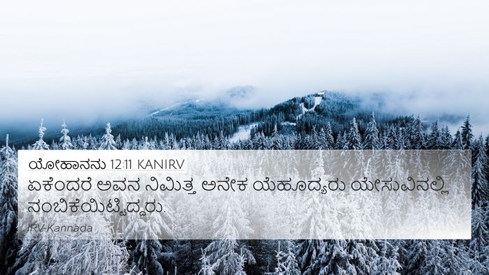 ಯೋಹಾನನು 12:11 KANIRV Bible Verse Image