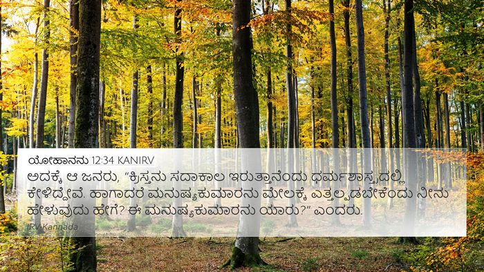 ಯೋಹಾನನು 12:34 KANIRV Bible Verse Image