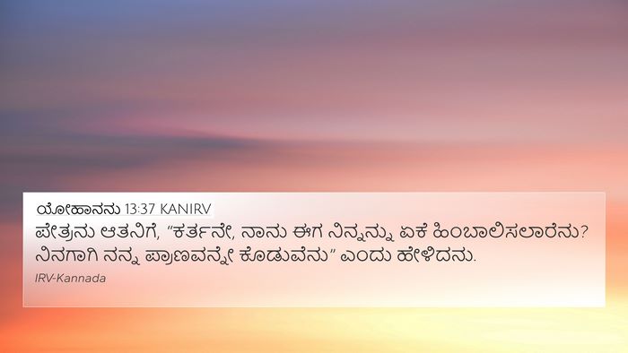 ಯೋಹಾನನು 13:37 KANIRV Bible Verse Image