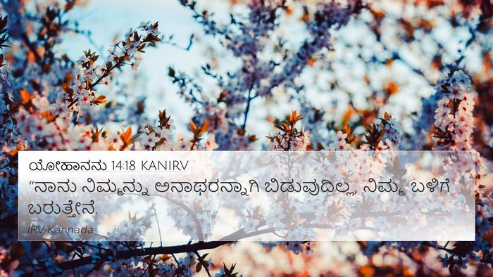ಯೋಹಾನನು 14:18 KANIRV Bible Verse Image