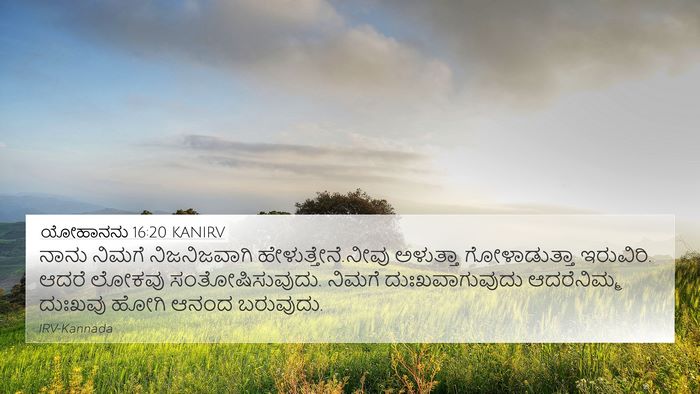ಯೋಹಾನನು 16:20 KANIRV Bible Verse Image