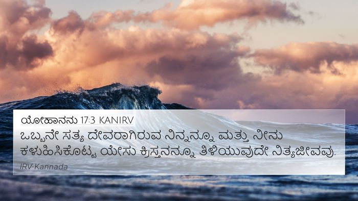 ಯೋಹಾನನು 17:3 KANIRV Bible Verse Image