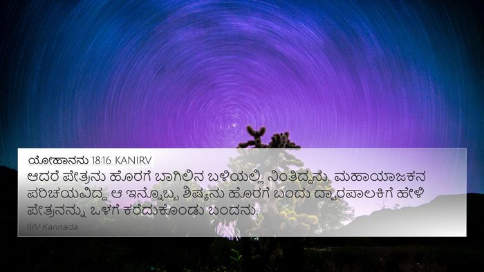 ಯೋಹಾನನು 18:16 KANIRV Bible Verse Image